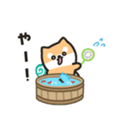 柴犬たけちよの夏休み（個別スタンプ：15）