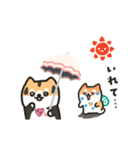 柴犬たけちよの夏休み（個別スタンプ：17）