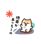 柴犬たけちよの夏休み（個別スタンプ：18）