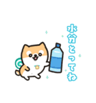 柴犬たけちよの夏休み（個別スタンプ：19）