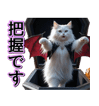飛び出す★秋を感じる・白猫【仮装多め】（個別スタンプ：11）