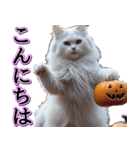 飛び出す★秋を感じる・白猫【仮装多め】（個別スタンプ：13）