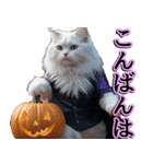 飛び出す★秋を感じる・白猫【仮装多め】（個別スタンプ：14）