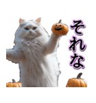 飛び出す★秋を感じる・白猫【仮装多め】（個別スタンプ：15）