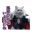 飛び出す★秋を感じる・白猫【仮装多め】（個別スタンプ：16）