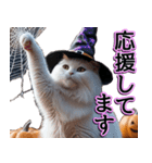 飛び出す★秋を感じる・白猫【仮装多め】（個別スタンプ：20）