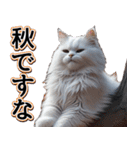 飛び出す★秋を感じる・白猫【仮装多め】（個別スタンプ：23）