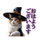 飛び出す★秋を感じる・三毛猫ハロウィン（個別スタンプ：2）