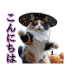 飛び出す★秋を感じる・三毛猫ハロウィン（個別スタンプ：13）