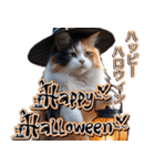 飛び出す★秋を感じる・三毛猫ハロウィン（個別スタンプ：17）