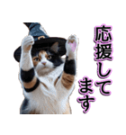 飛び出す★秋を感じる・三毛猫ハロウィン（個別スタンプ：20）