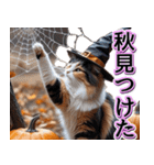 飛び出す★秋を感じる・三毛猫ハロウィン（個別スタンプ：22）