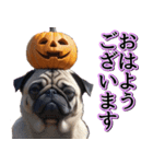 飛び出す★秋を感じる・パグ犬ハロウィン（個別スタンプ：2）