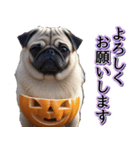 飛び出す★秋を感じる・パグ犬ハロウィン（個別スタンプ：5）