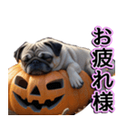 飛び出す★秋を感じる・パグ犬ハロウィン（個別スタンプ：7）