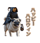 飛び出す★秋を感じる・パグ犬ハロウィン（個別スタンプ：17）