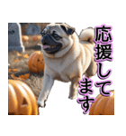 飛び出す★秋を感じる・パグ犬ハロウィン（個別スタンプ：20）