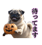 飛び出す★秋を感じる・パグ犬ハロウィン（個別スタンプ：23）