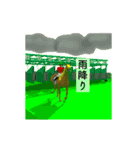 駆ける3D ！ボク競馬中2（個別スタンプ：17）