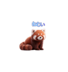 かわいいレッサーパンダ（日本語）（個別スタンプ：4）