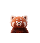 かわいいレッサーパンダ（日本語）（個別スタンプ：5）
