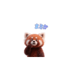 かわいいレッサーパンダ（日本語）（個別スタンプ：6）