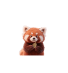 かわいいレッサーパンダ（日本語）（個別スタンプ：10）