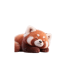 かわいいレッサーパンダ（日本語）（個別スタンプ：16）