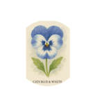 パンジーの花シリーズ:Pansy flowers（個別スタンプ：13）