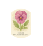 パンジーの花シリーズ:Pansy flowers（個別スタンプ：19）