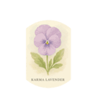 パンジーの花シリーズ:Pansy flowers（個別スタンプ：20）