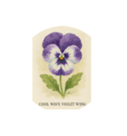 パンジーの花シリーズ:Pansy flowers（個別スタンプ：23）