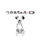 『ダルメシアン』のスタンプ（個別スタンプ：5）