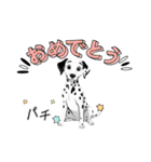 『ダルメシアン』のスタンプ（個別スタンプ：9）