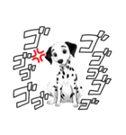 『ダルメシアン』のスタンプ（個別スタンプ：13）