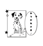 『ダルメシアン』のスタンプ（個別スタンプ：17）
