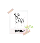 『ダルメシアン』のスタンプ（個別スタンプ：18）