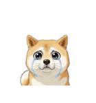 【泣く犬 1】（個別スタンプ：3）