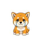 【泣く犬 1】（個別スタンプ：6）