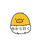 ぴよ貴族（個別スタンプ：6）
