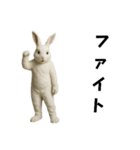 白いウサギのキグルミ（個別スタンプ：9）