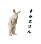 白いウサギのキグルミ（個別スタンプ：14）