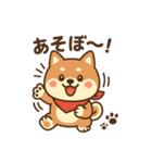 元気なしばたろうの毎日スタンプ（個別スタンプ：9）