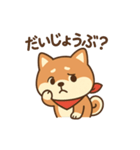 元気なしばたろうの毎日スタンプ（個別スタンプ：14）