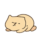 ぐうたら猫NyaNyaの極上ダラダラ（個別スタンプ：19）