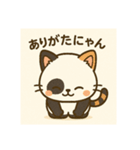 キュートなネコパンダ（個別スタンプ：5）
