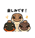 トカゲ＆イモリ＆カナヘビのスタンプ（個別スタンプ：14）
