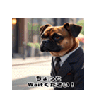 ダンディ犬柴（個別スタンプ：8）