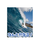 背景が動く▶︎自然が好き--ハワイHawaii--（個別スタンプ：4）