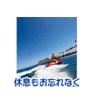 背景が動く▶︎自然が好き--ハワイHawaii--（個別スタンプ：6）